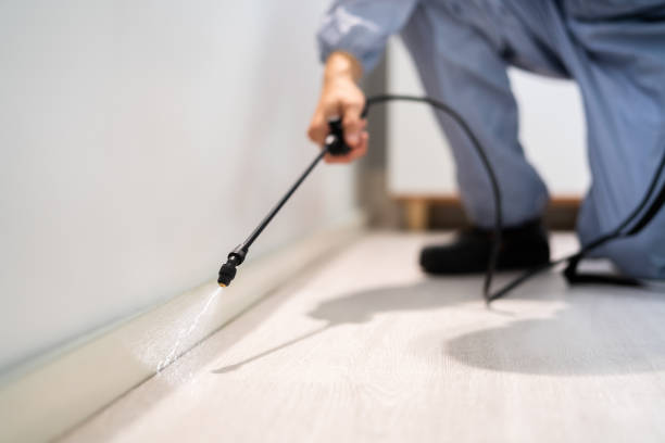 Licensed Mosquito Control service in Georgetown, GA - Show Me Pest Control