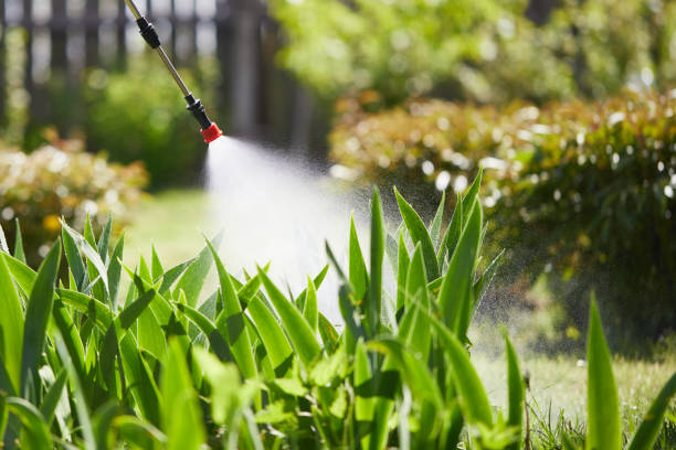 24/7 Emergency Mosquito Control experts in Georgetown, GA