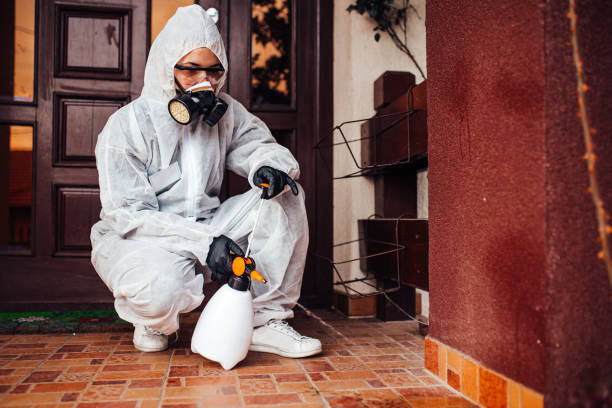 Reliable Mosquito Control contractor in Georgetown, GA by Show Me Pest Control